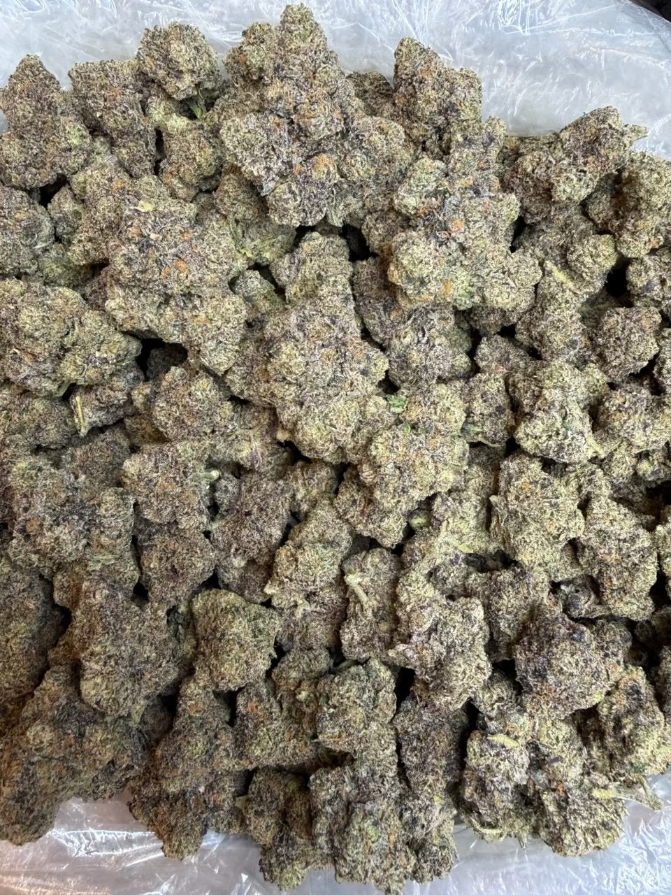 Toad Venom THCA Indica Flower
