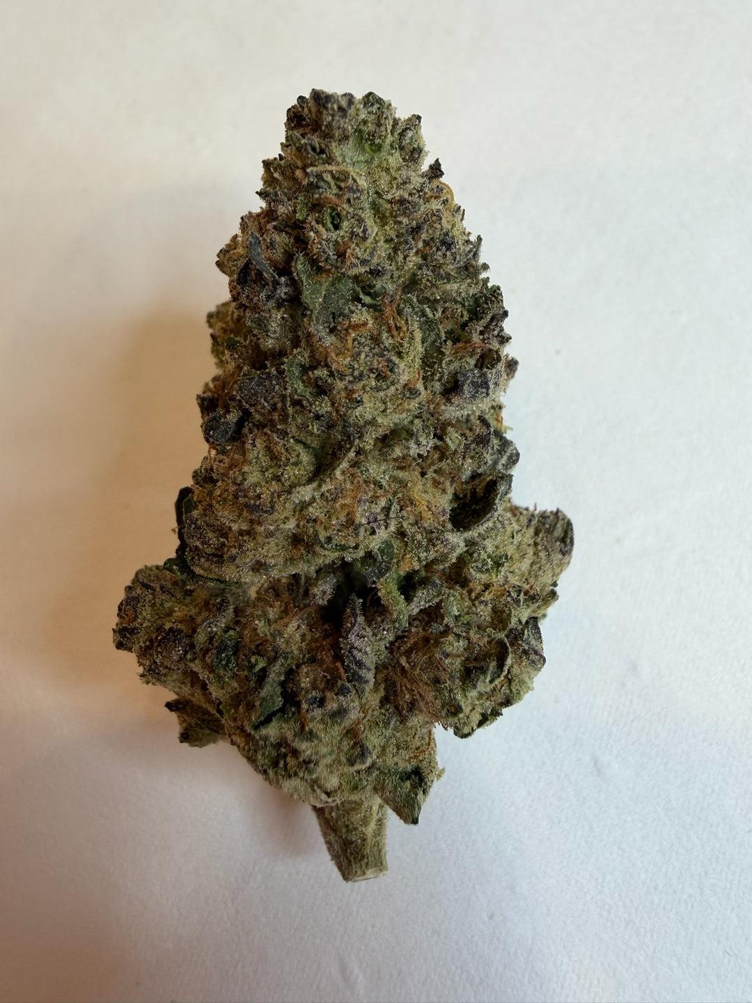 Girl Scout Cookies THCA Hybrid Flower