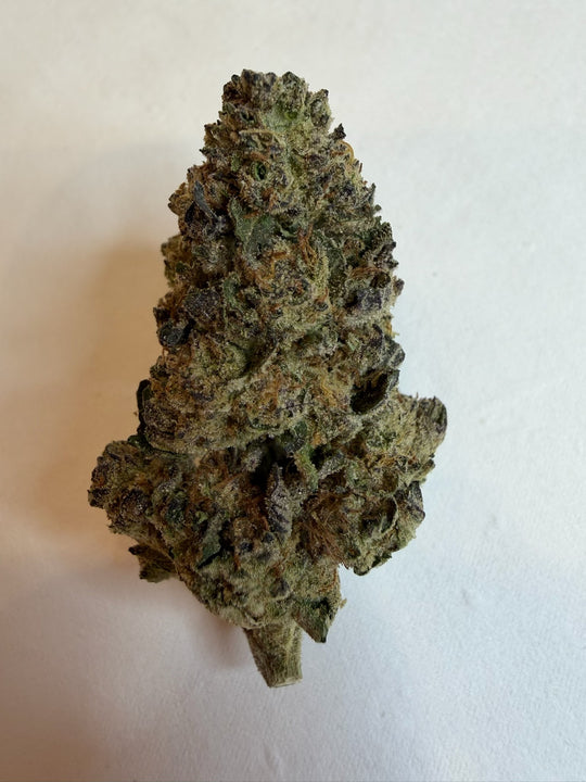 Girl Scout Cookies THCA Hybrid Flower