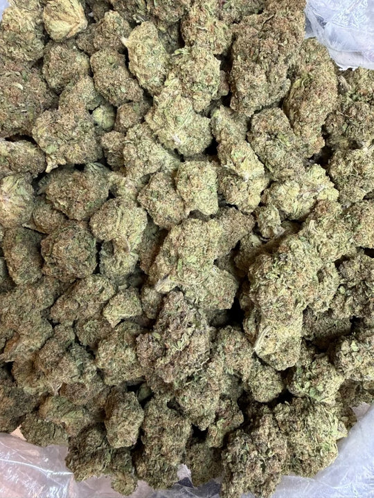 Apple Fritter THCA Hybrid Flower