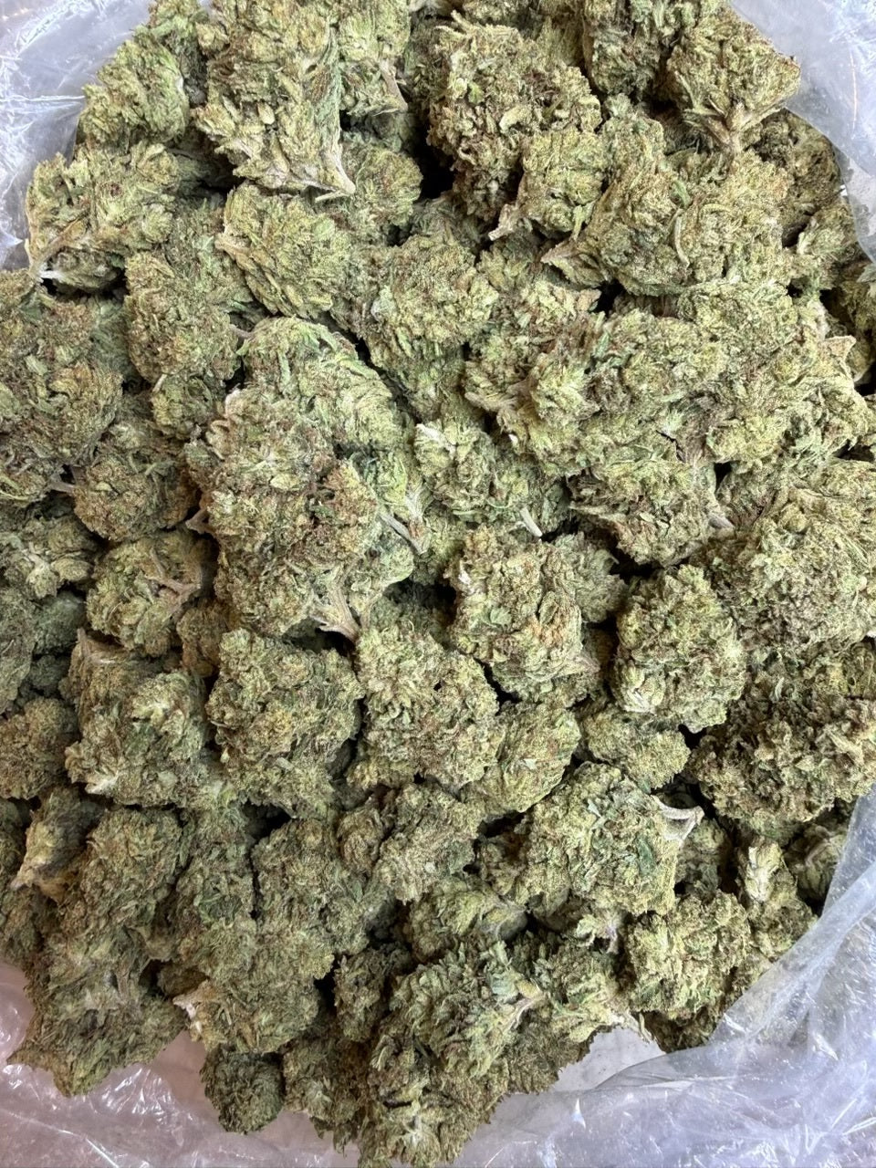 Sour Diesel THCA Sativa Flower