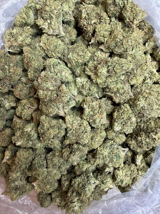 Sour Diesel THCA Sativa Flower