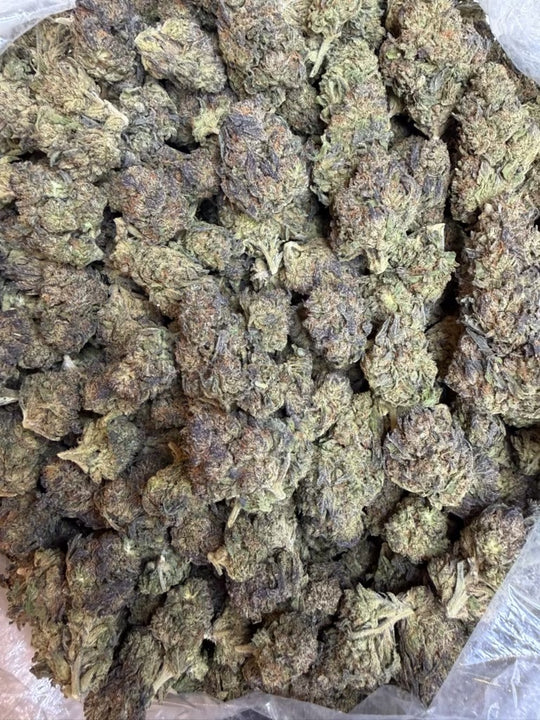Ice Cream Cake THCA Indica Flower