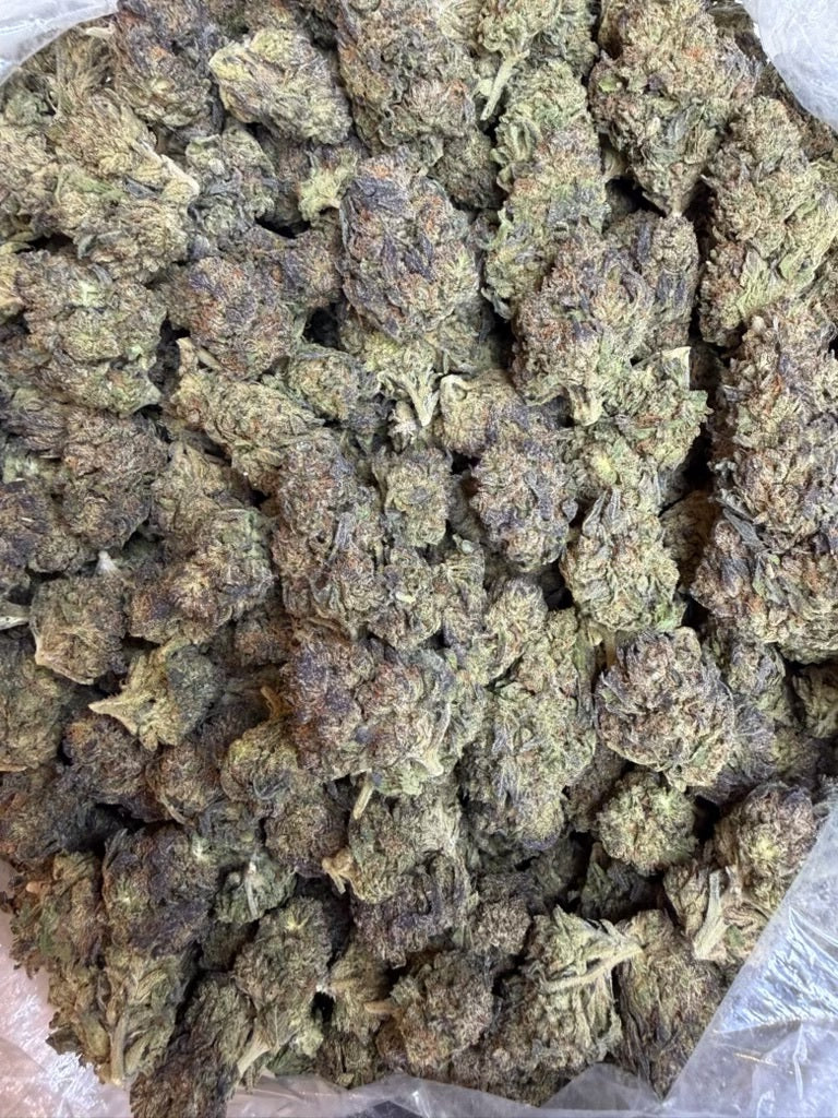 Rainbow Beltz THCA Indica Flower