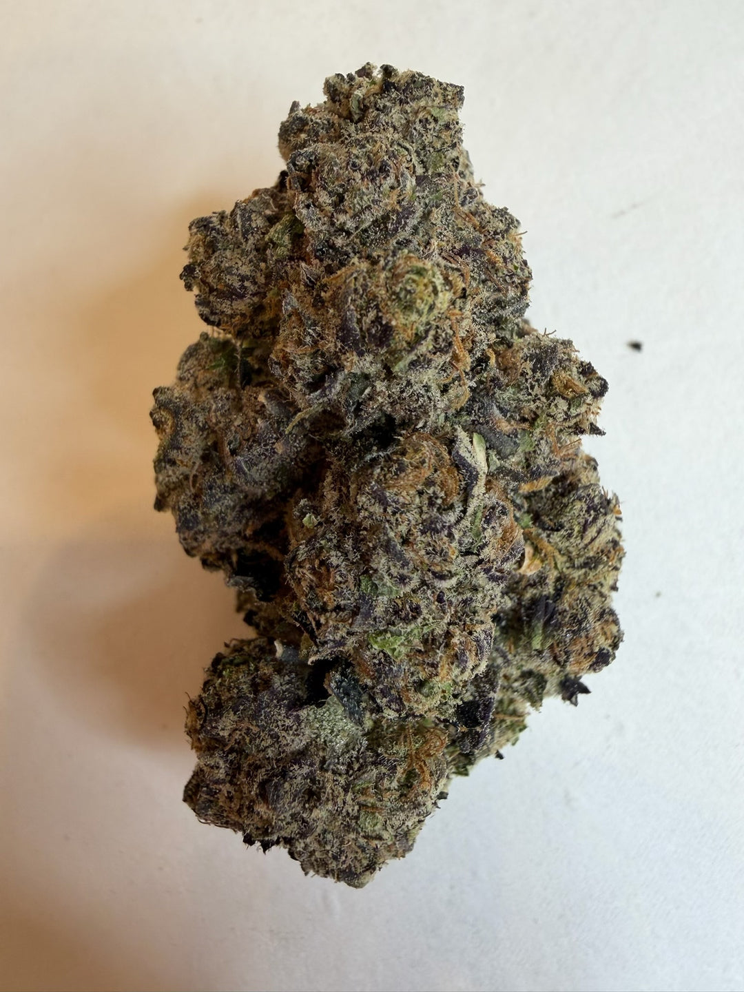 Biscotti x Runtz THCA Hybrid Flower