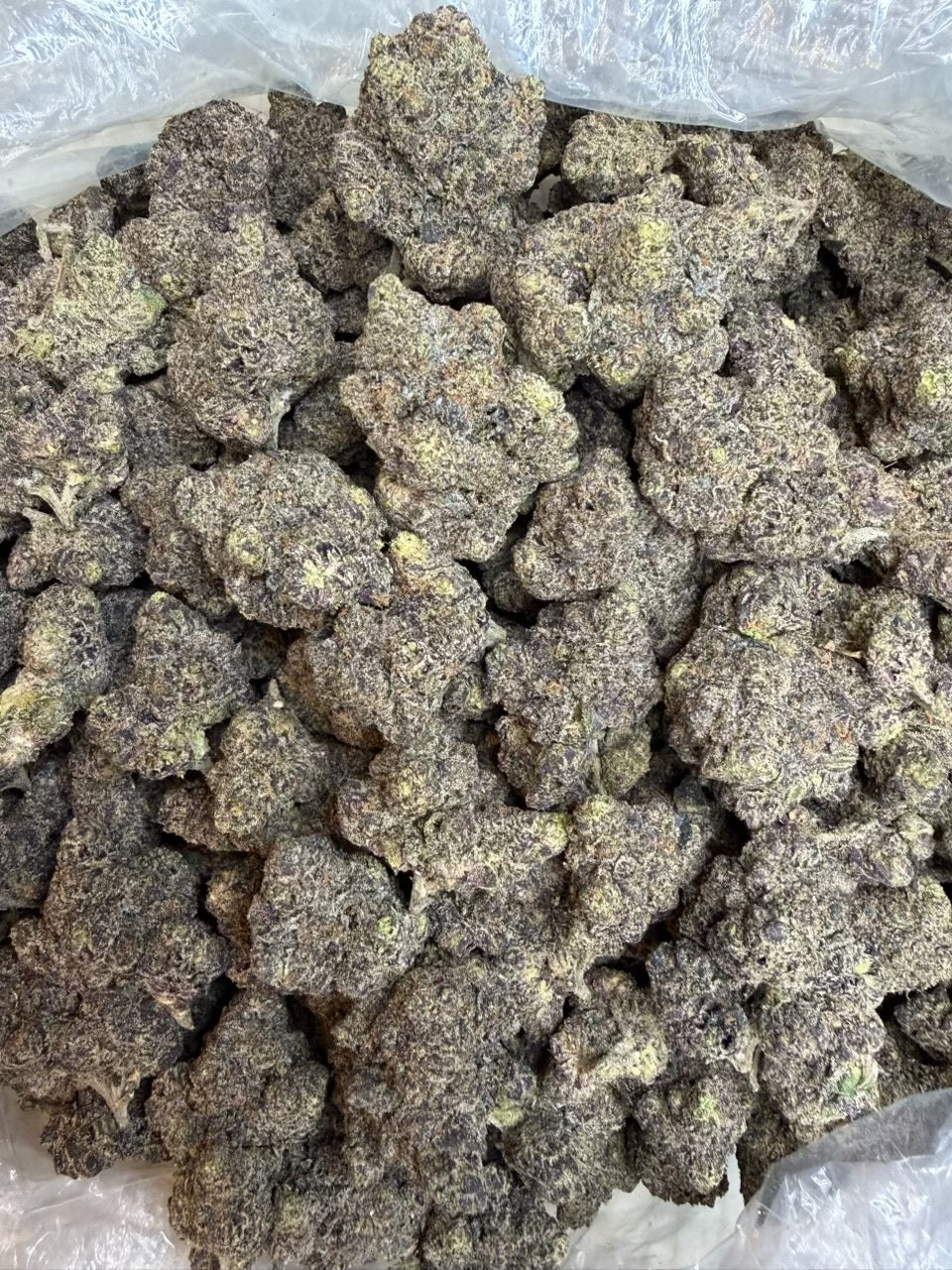 Biscotti x Runtz THCA Hybrid Flower