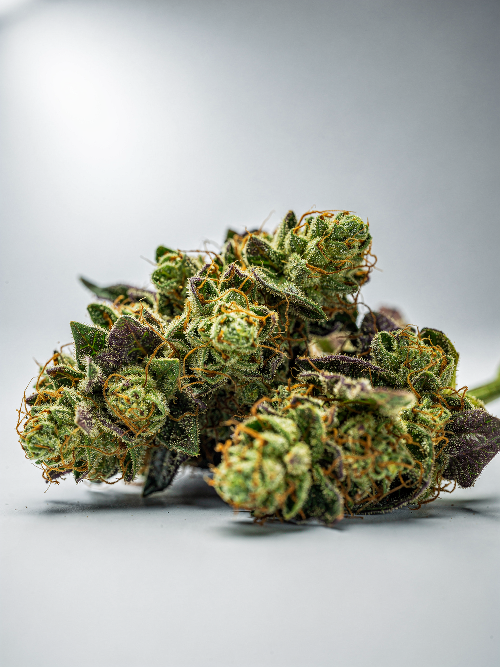 Blue Dream THCA Sativa Pre-Roll 1.5g