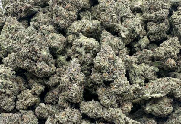 Girl Scout Cookies THCA Hybrid Flower - Wholesale Bulk