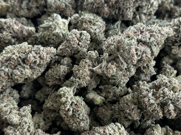 Apple Fritter THCA Hybrid Flower - Wholesale Bulk