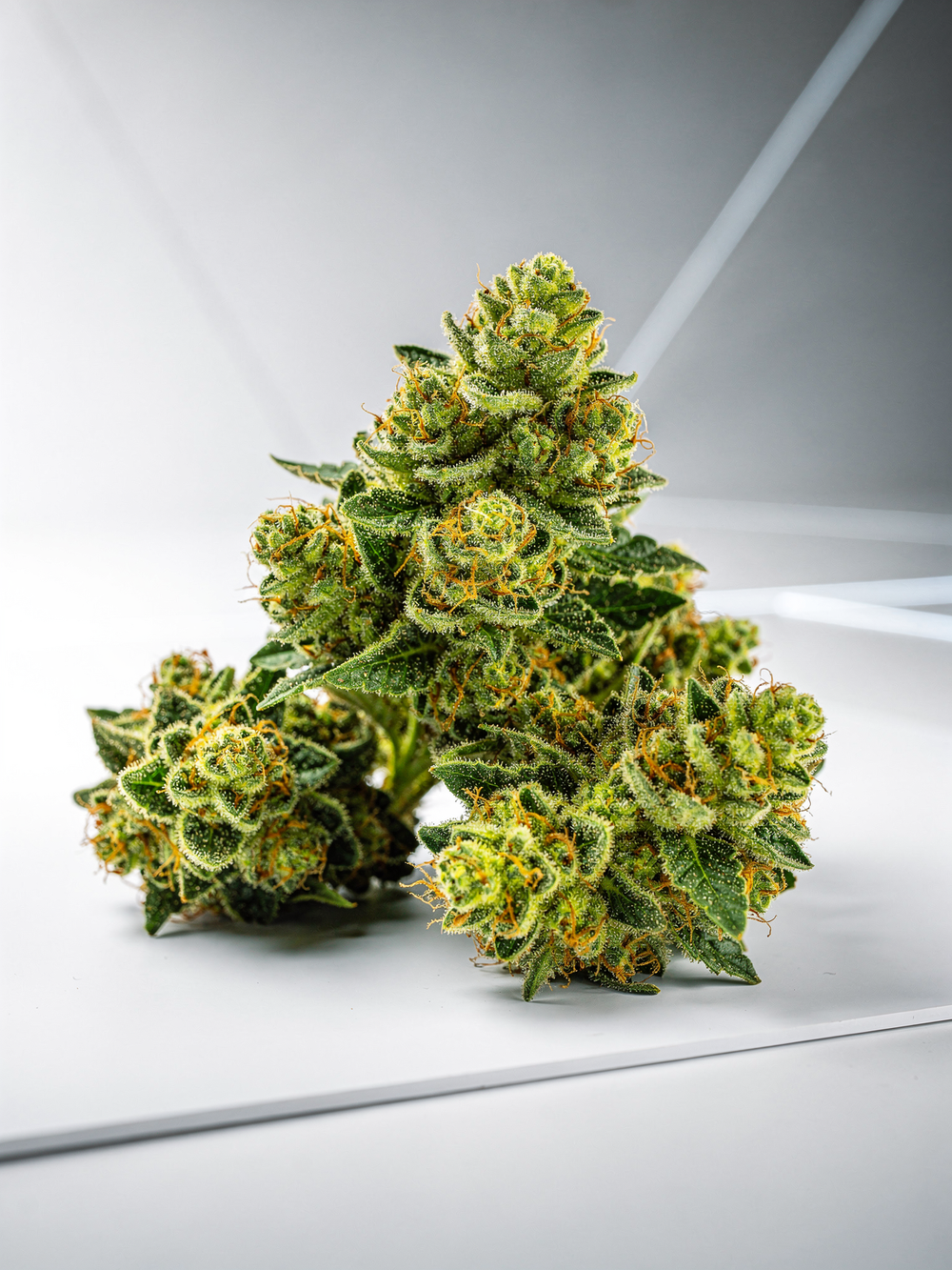 Guava Burst Hybrid Hash Hole 2G