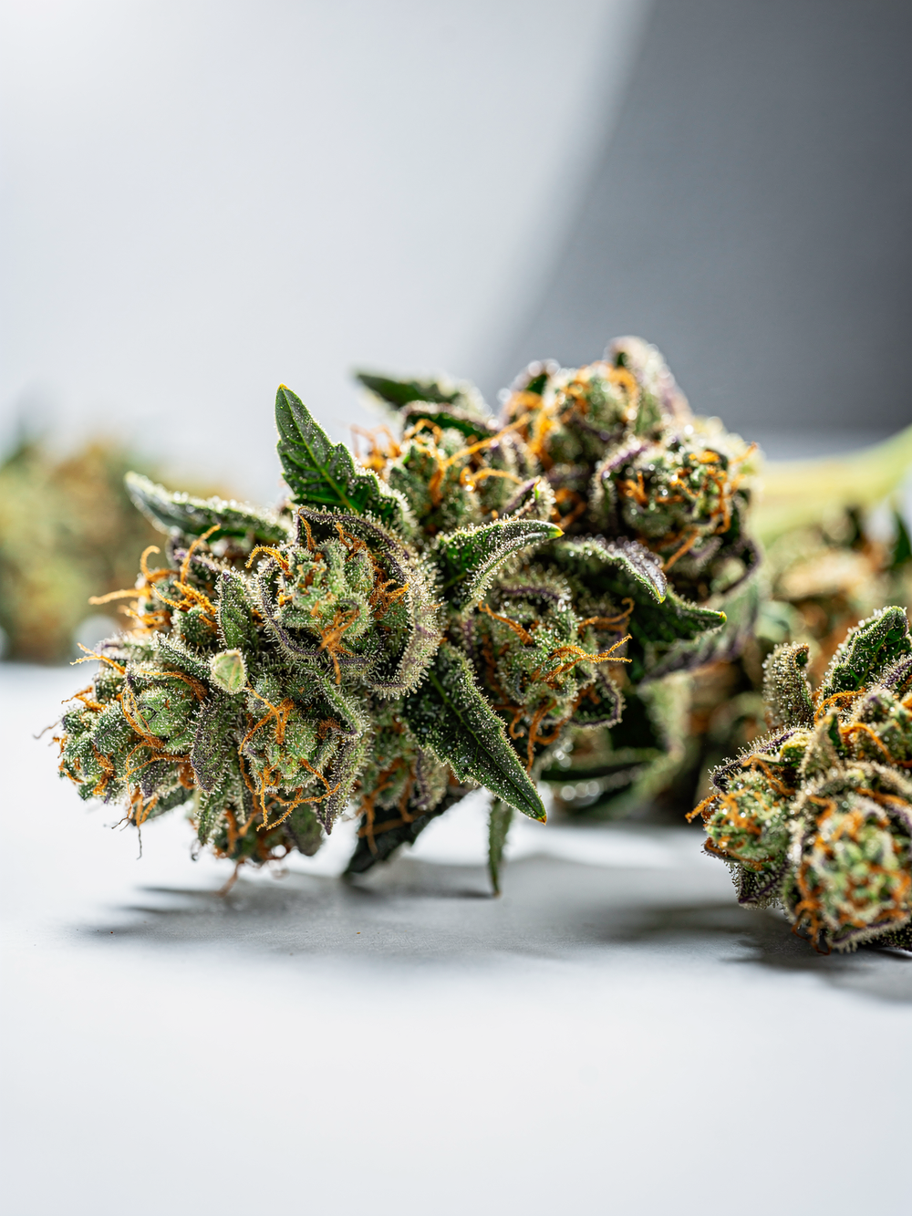 Lemon Cherry Gelato THCA Hybrid Pre-Roll 1.5g