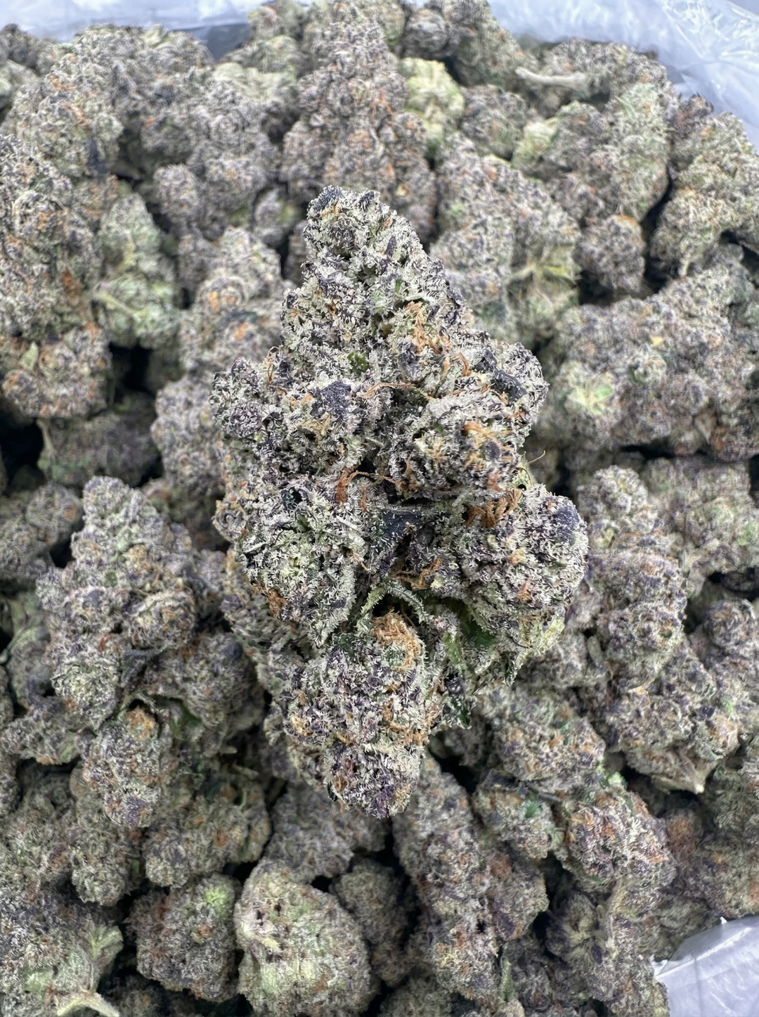 Close-up of dried cannabis buds with a green and brown color.