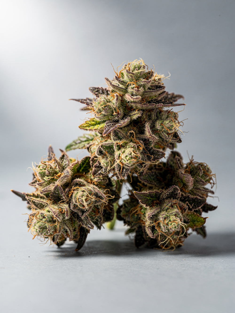 Watermelon Z Indica Hash Hole 2G